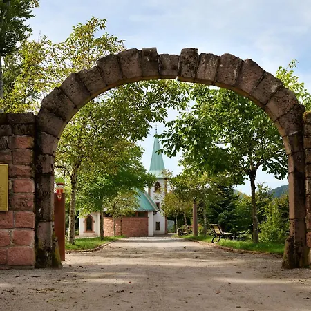 Hotel Dollenberg-2