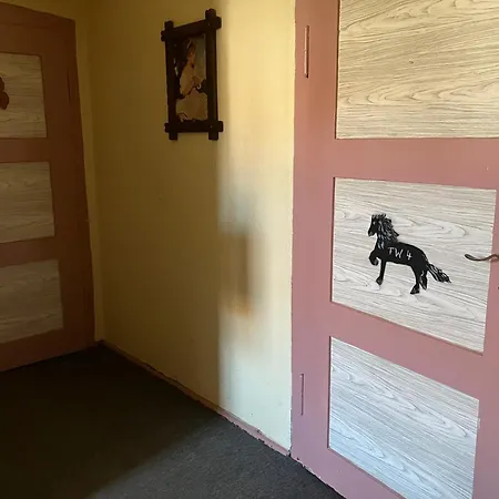 Doppelzimmer vom Friesenhof Wieratal-3