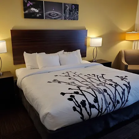 Sleep Inn & Suites Wisconsin Rapids-2