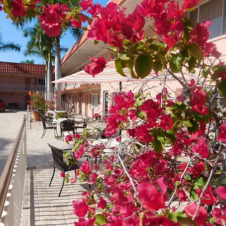 Hibiscus Suites - Sarasota-3