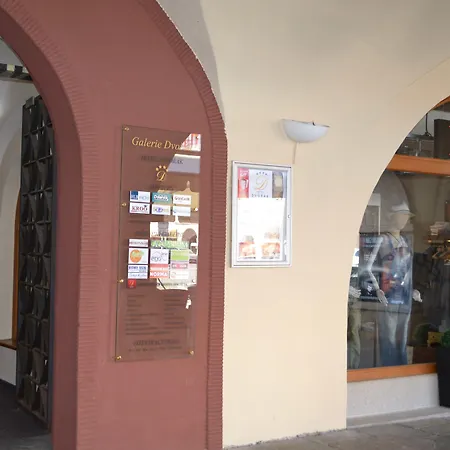 Hotel Dvorak-3