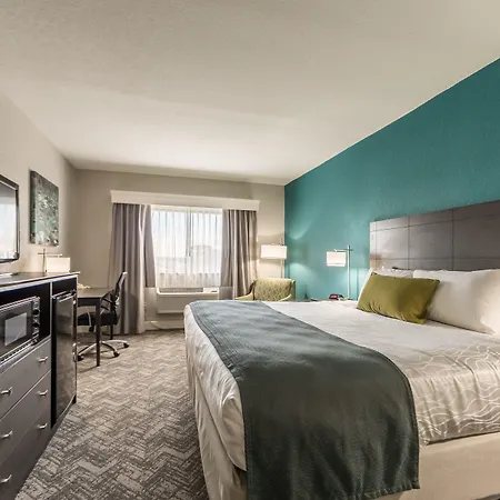 Best Western Plus Sebastian Hotel & Suites-3