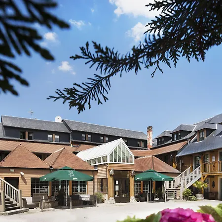 Hotel Et Spa Le Lion D'Or-3