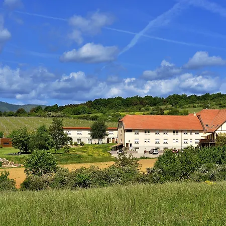 Hotel Du Bollenberg - Restaurant "Cote Plaine" - Spa De La Colline-3