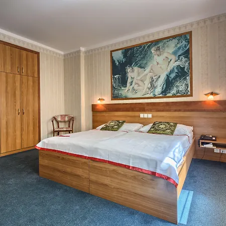 Wellness Hotel Babylon-2