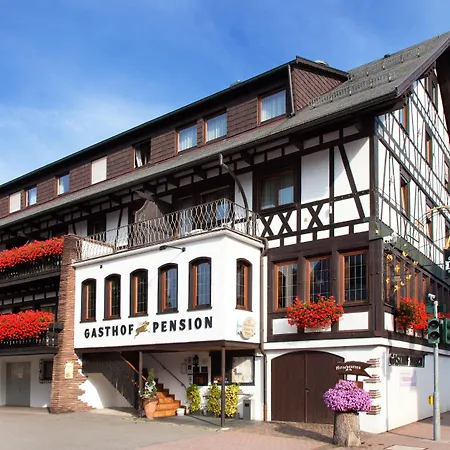 Landgasthof Hotel Hirsch-2