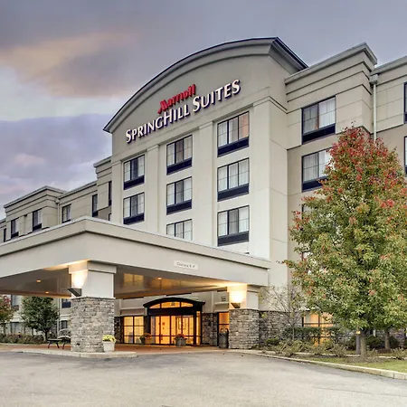 Springhill Suites By Marriott Wheeling Triadelphia Area-2