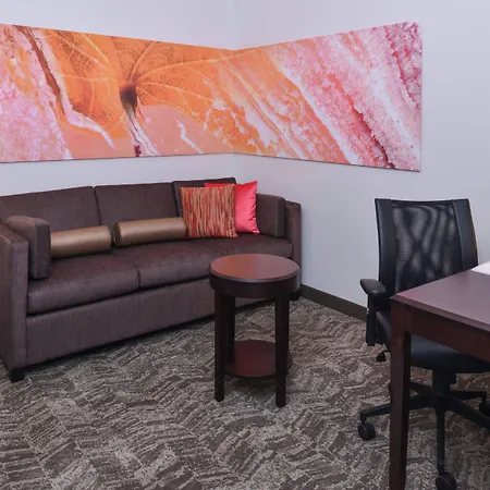 Springhill Suites By Marriott Oklahoma City Airport-2