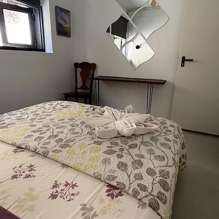 Tenerife Experience Hostel-2