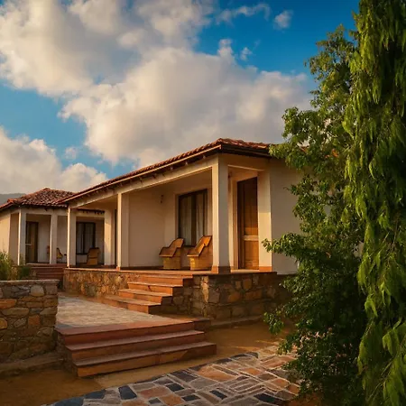 Virat Resorts, Sariska Rajasthan-3