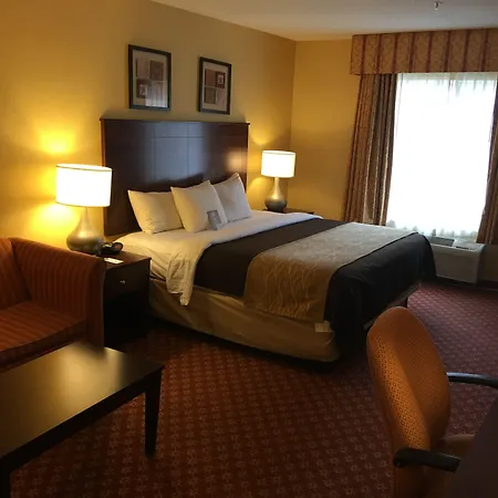 Comfort Inn Naugatuck-Shelton, Ct-2
