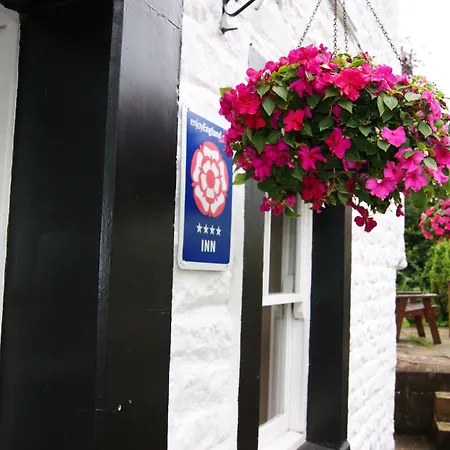 Royal Oak Appleby-2