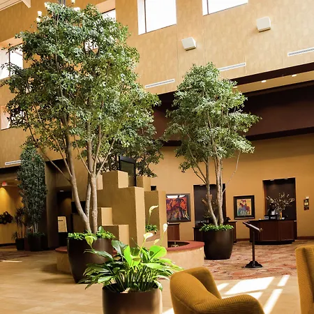 Embassy Suites By Hilton Minneapolis North-2