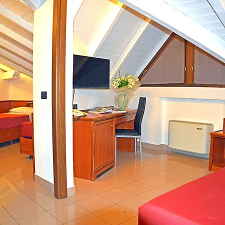 Sempione Hotel Malpensa-3