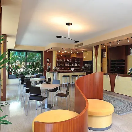 Hotel Ausonia-2
