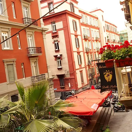 B&B Delle Palme-2