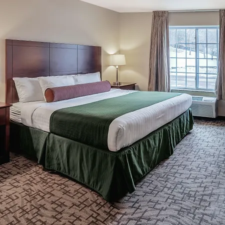Cobblestone Inn & Suites - Durand-2