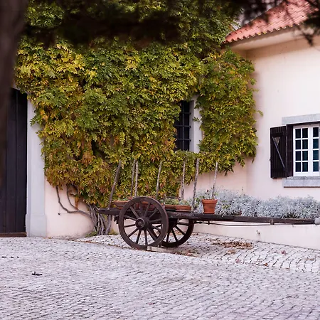 Quinta Do Covanco-2