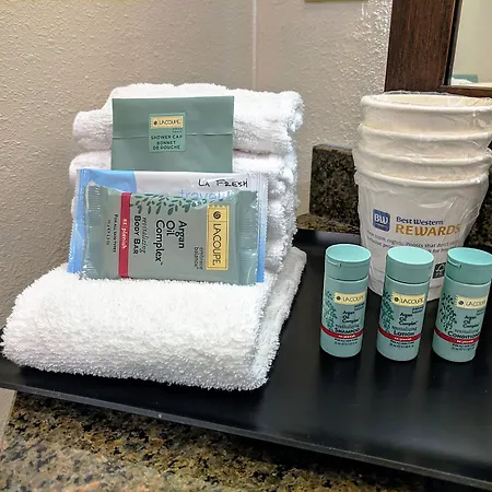 Best Western Rocky Mountain Lodge-3