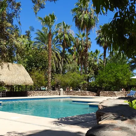 Hotel Oasis-2