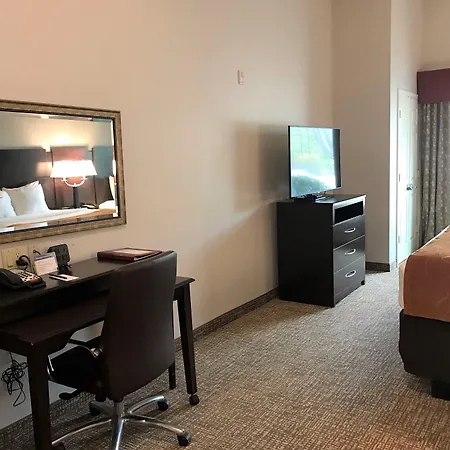 Comfort Suites Bay City East-2