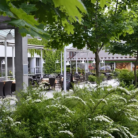 Hotel Alp-3