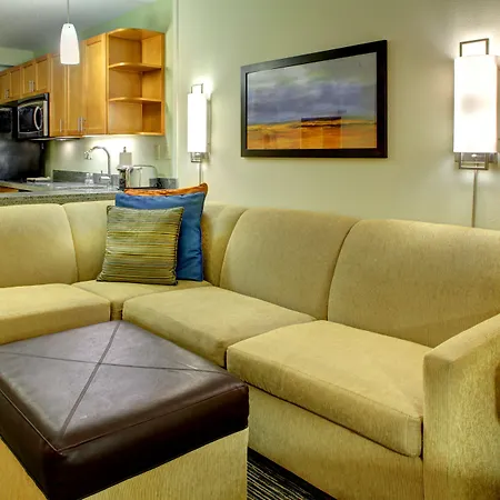 Hyatt House Fort Lauderdale Airport/Cruise Port-3