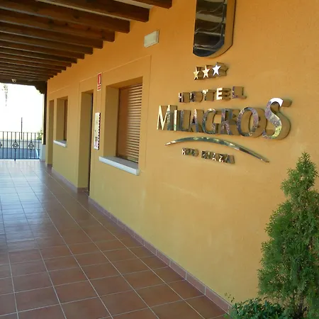 Hotel Milagros Rio Riaza-3