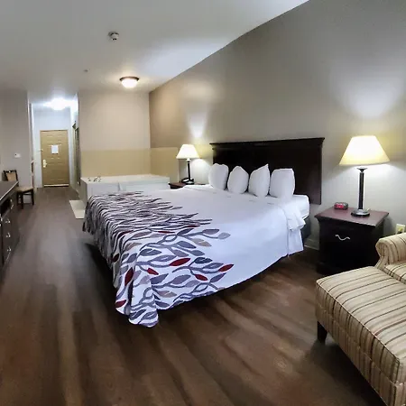 Red Roof Inn & Suites Midland-2
