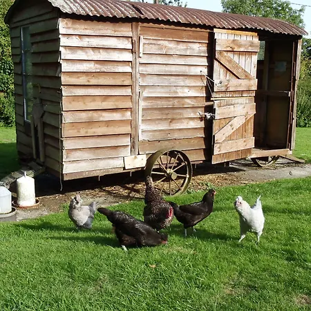Manor Farm B&B-2