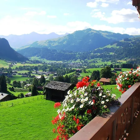 Hotel Le Grand Chalet Gstaad-3