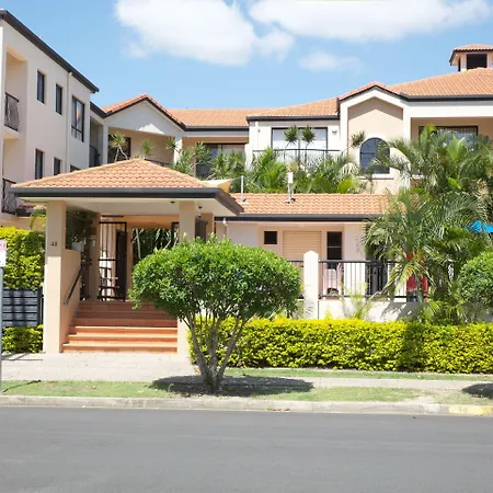 Chevron Palms-3