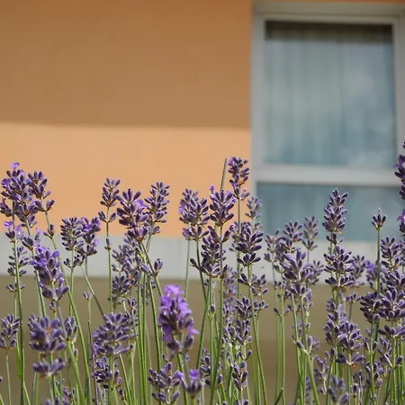 Villa Val Senart 1Ere Avenue-2