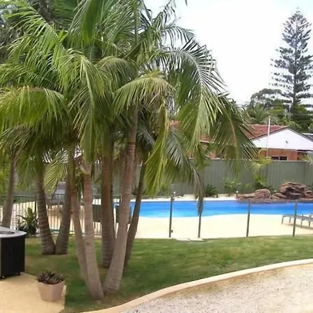 Koala Tree Motel-3