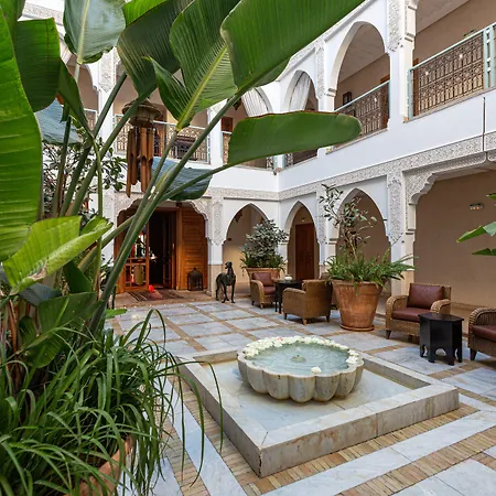 Le Riad Villa Blanche-2