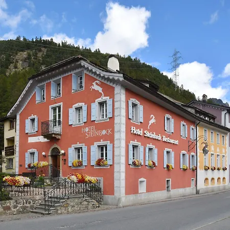 Hotel Steinbock Pontresina-2