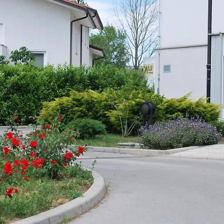 Bed And Breakfast Kogoj-2