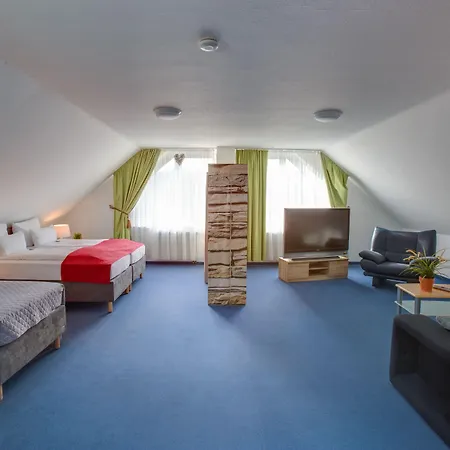 Hotel Leo Mühlhausen-3
