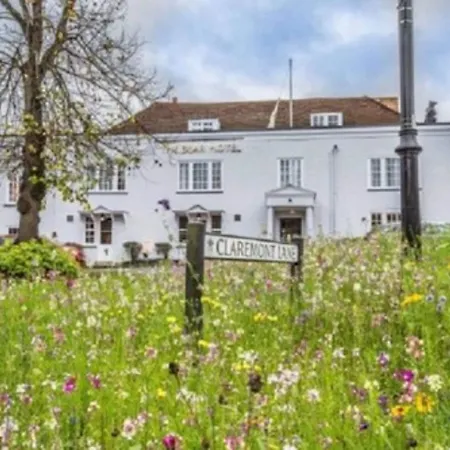 The Bear Esher-3