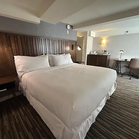 Best Western Premier Plainview-Long Island Hotel-3