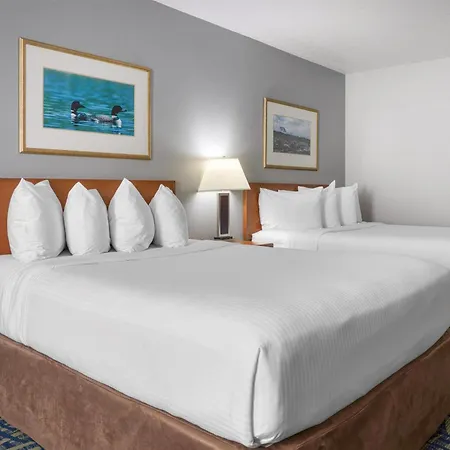 Surestay Plus Hotel By Best Western Lethbridge-3