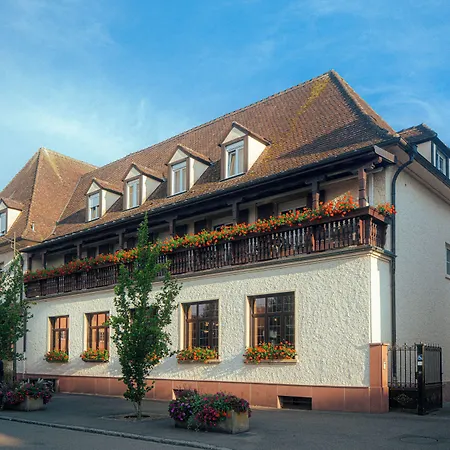 Hotel Au Nid De Cigognes-3