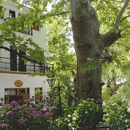 Gastronomy Hotel Kritsa-3