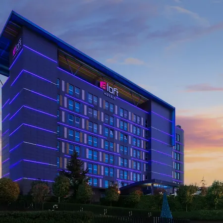 Aloft By Marriott Bursa Hotel-3