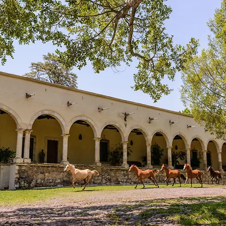 Hacienda Labor de Rivera Hotel Boutique&Eventos-3