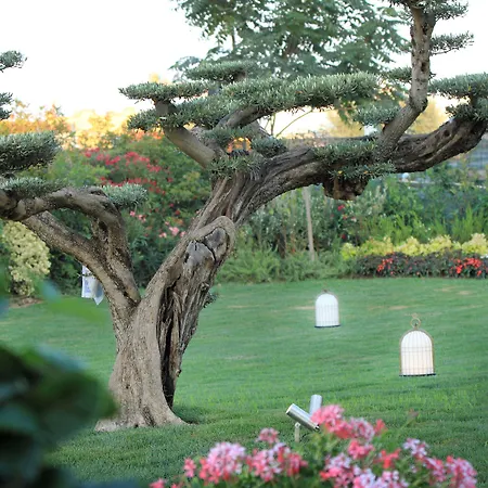 Grand Hotel Da Vinci-2