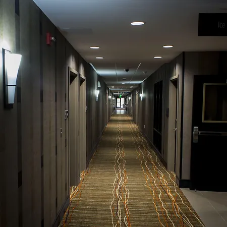 Hampton By Hilton Lansing West-2