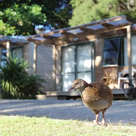 Russell-Orongo Bay Holiday Park-3