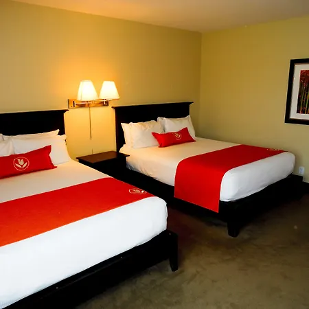 Amsterdam Inn & Suites Sussex-2