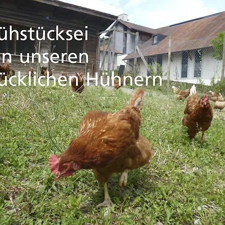 Kartause Ittingen-3